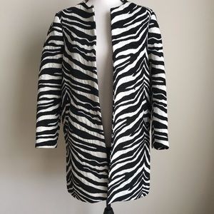 Zebra Coat